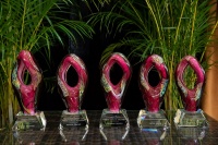 (BPRW) 6th Annual ColorComm Circle Awards Deadline Extended