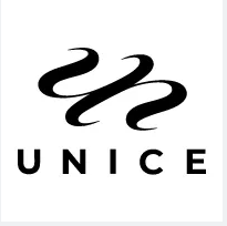 (BPRW) UNice Hair Launched New Packaging Box For Christmas | Tech Zone Daily